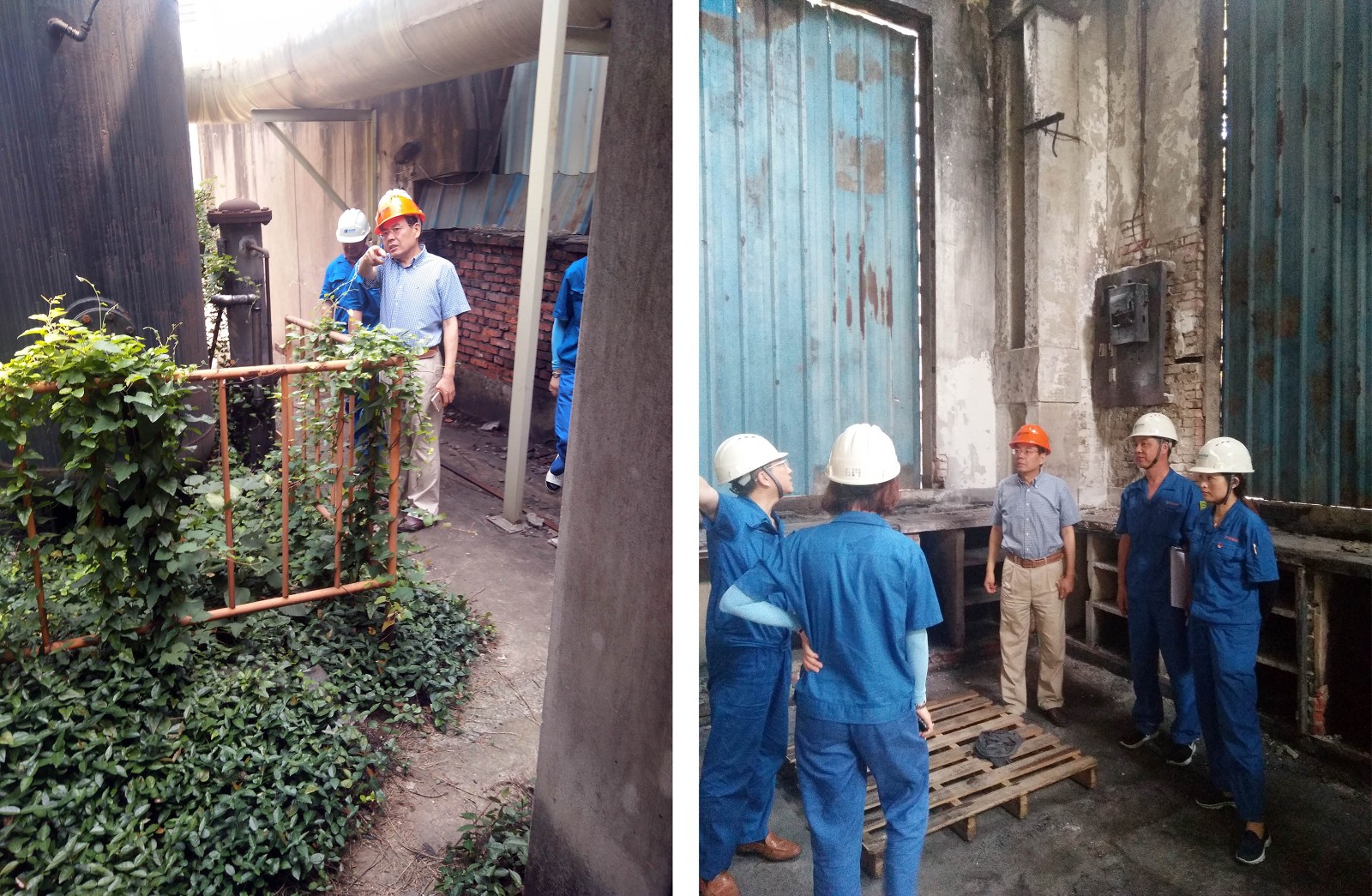 1561703614324329.jpg 拼圖.jpg